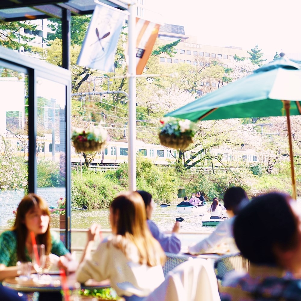 カフェから見える満開の桜