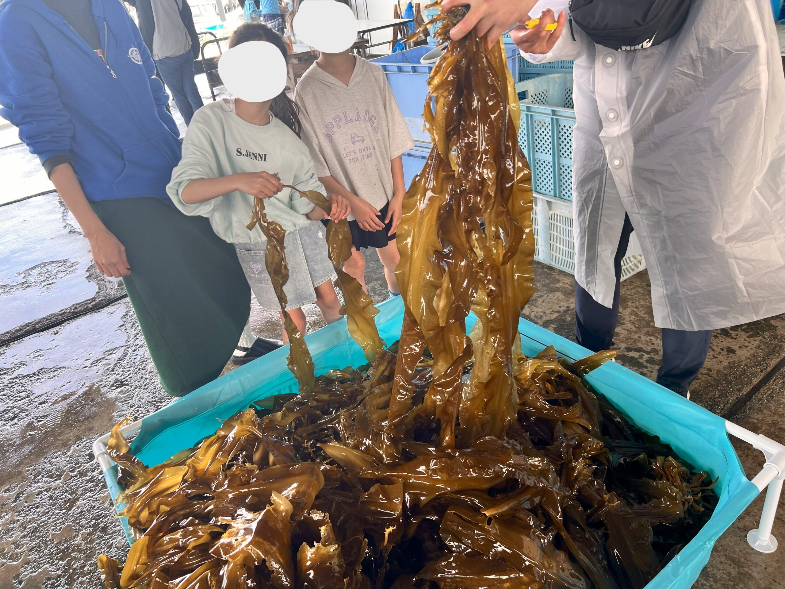 コンブで学ぶ！海の未来教室＠金沢漁港
